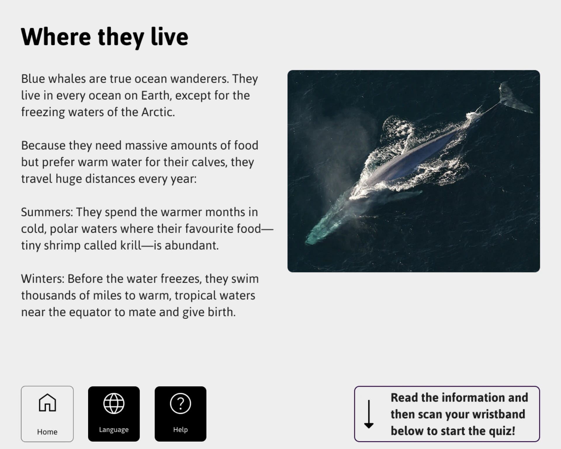 High-contrast, utilitarian UI acting as a knowledge primer