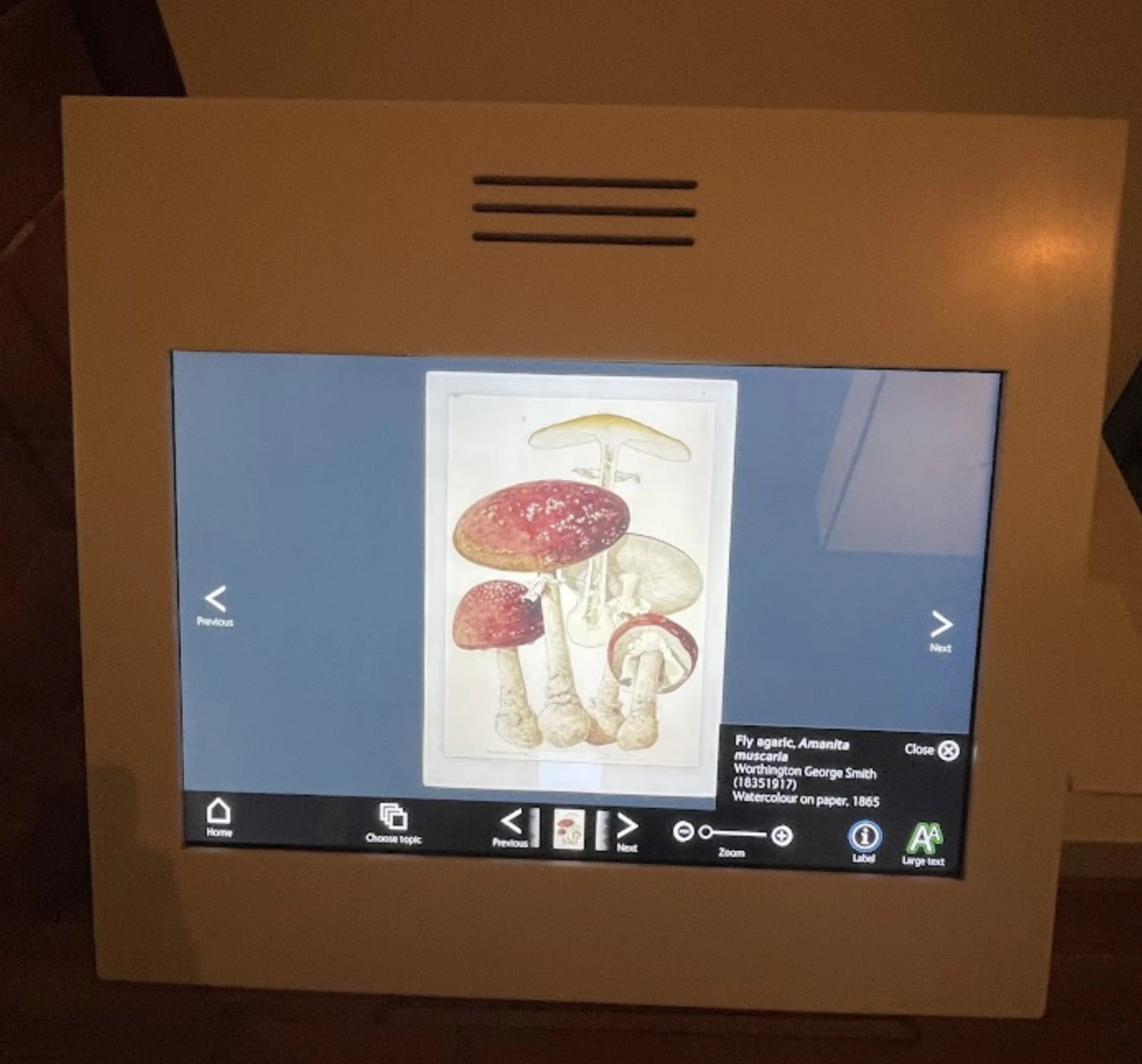 Field research photography from a kiosk installation