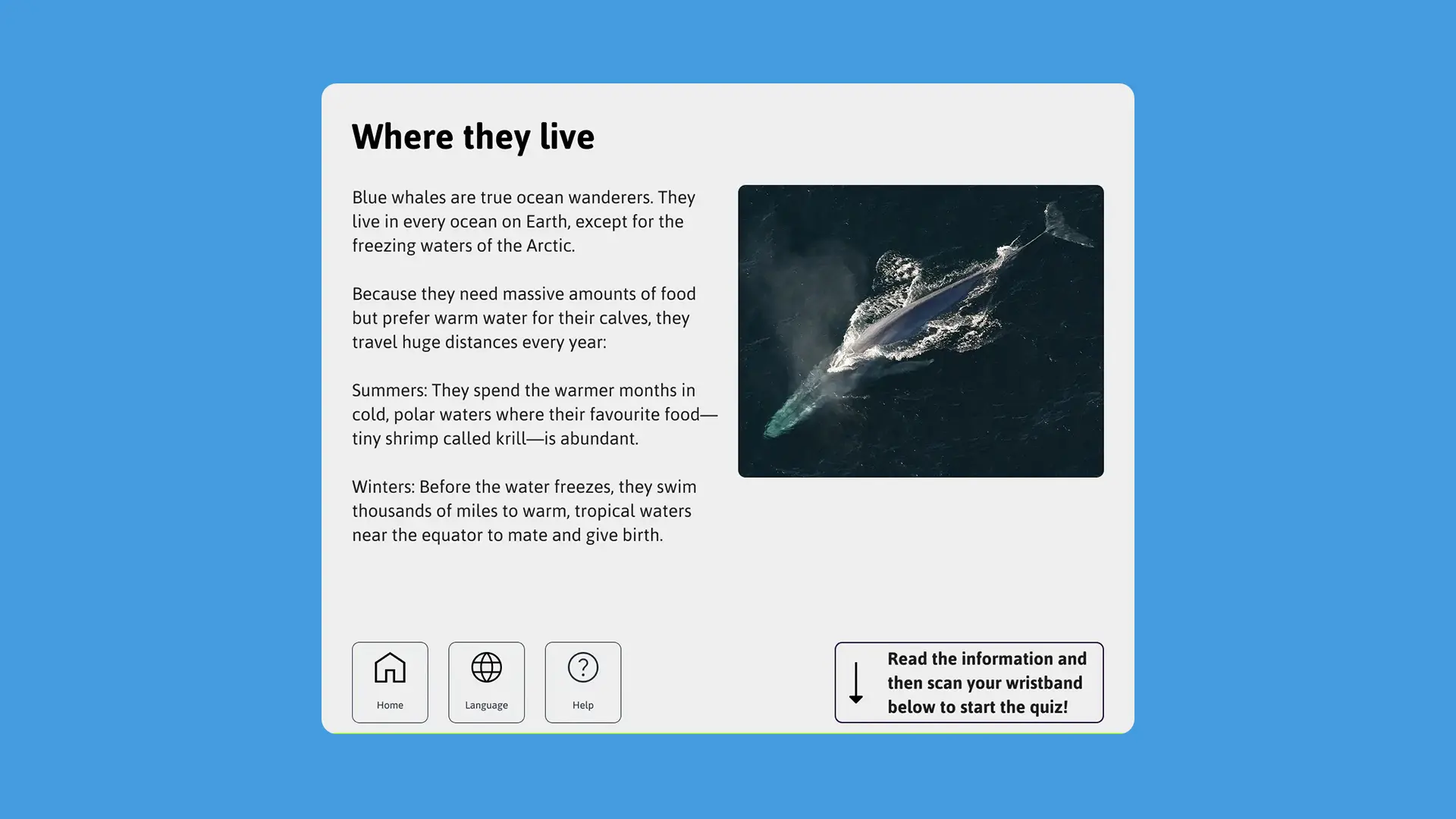 Natural History Museum NFC-Enabled Interactive Kiosk Exhibits