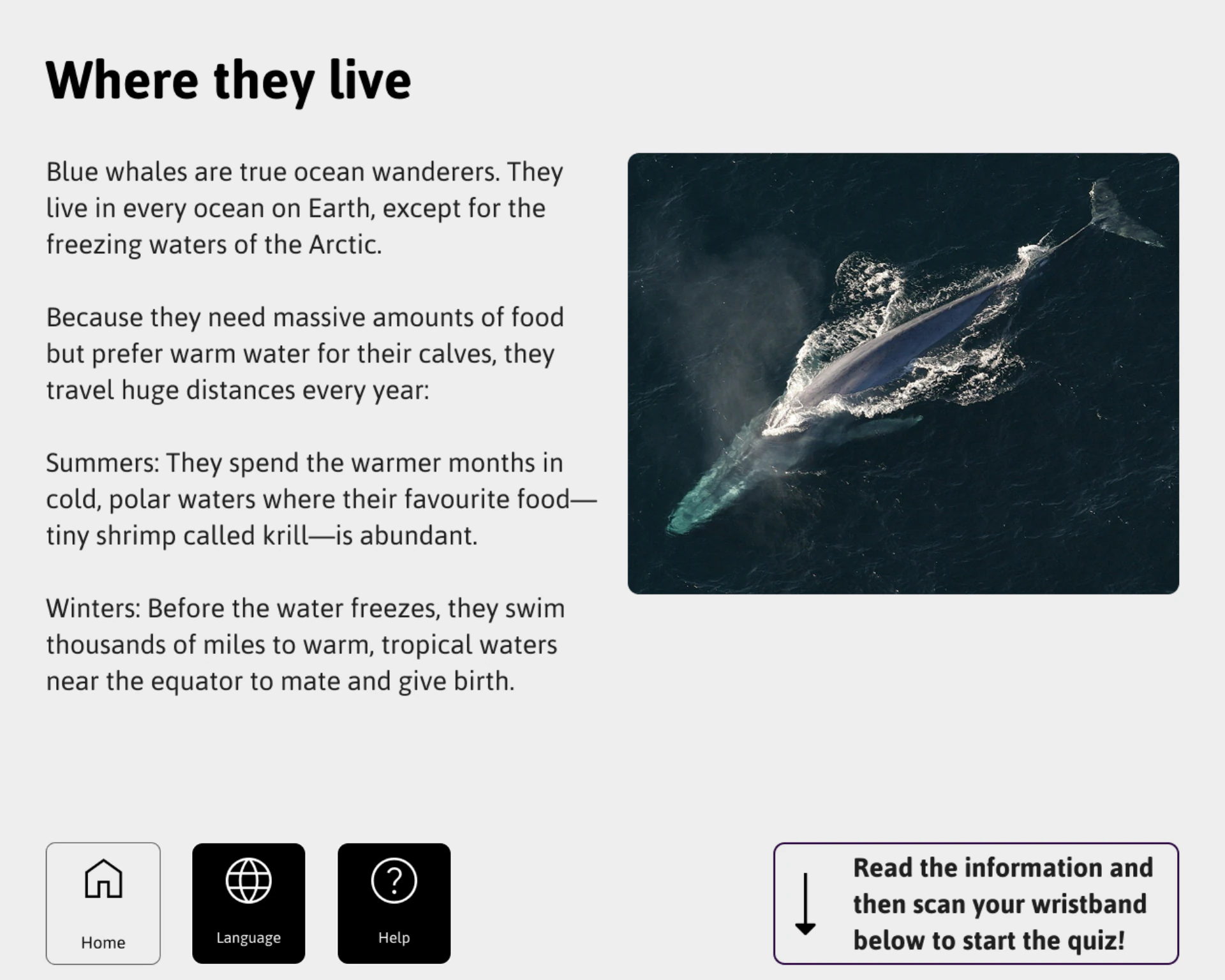 High-contrast, utilitarian UI acting as a knowledge primer