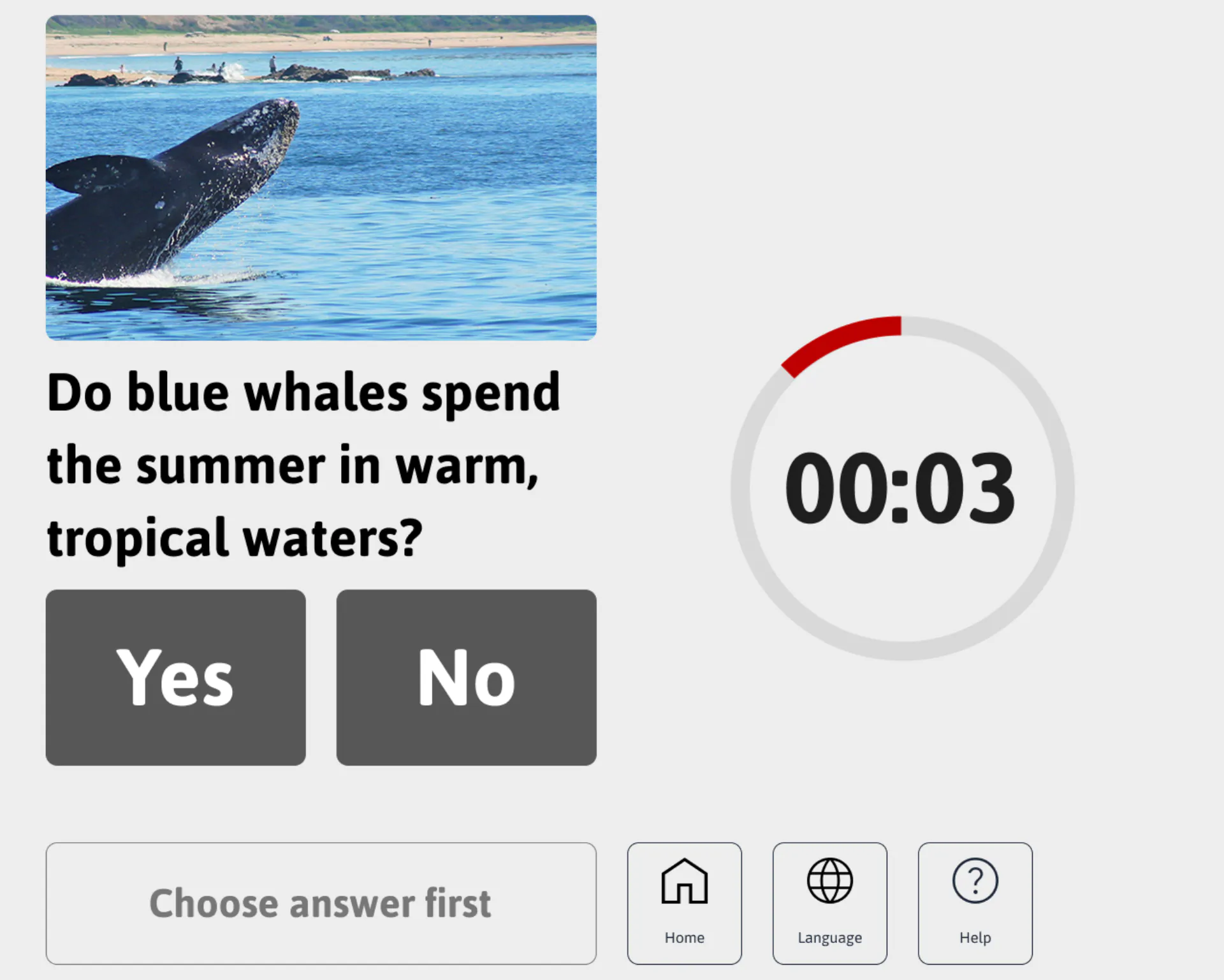 Question answer screen with timer