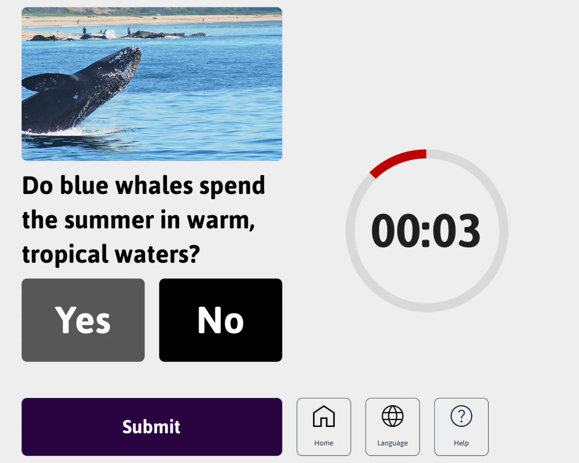 Question answer screen with answer selected