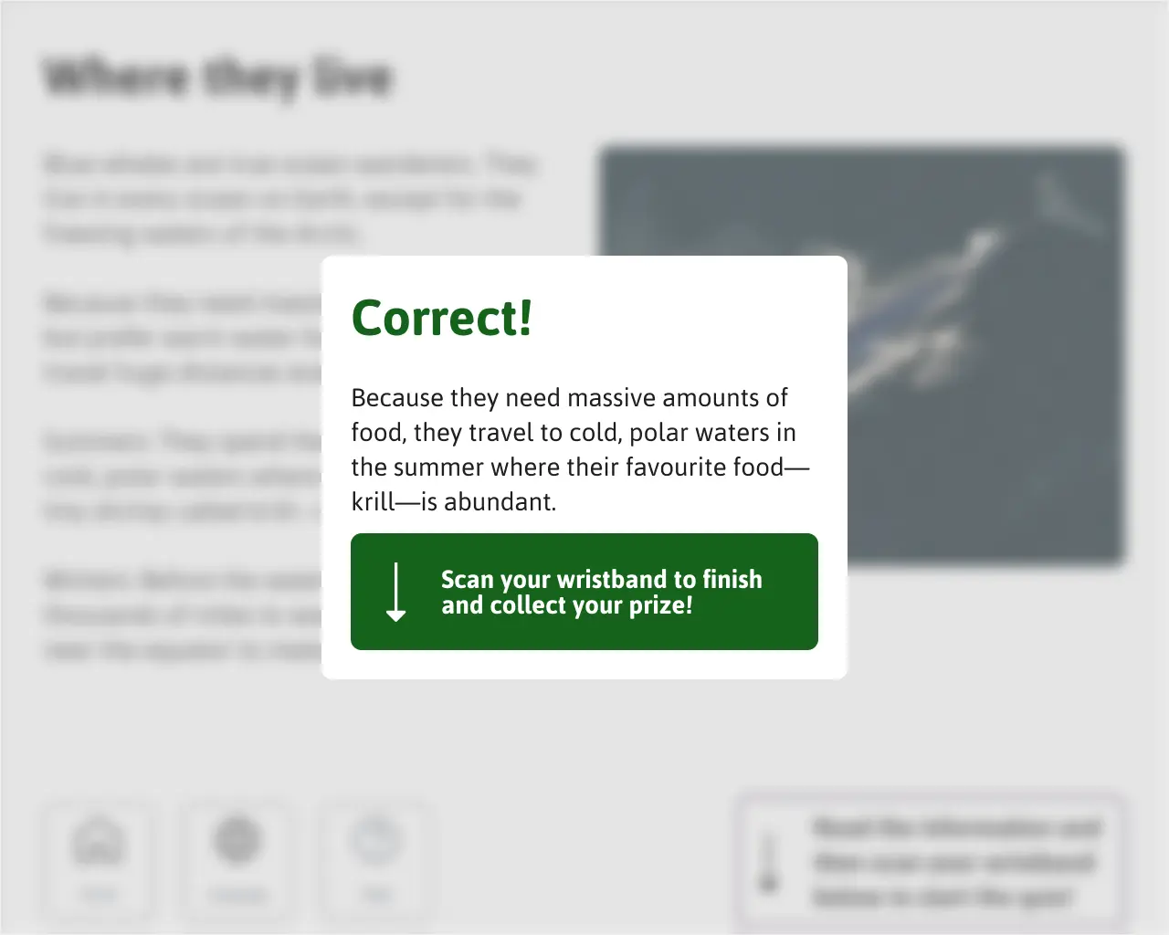 Correct answer screen