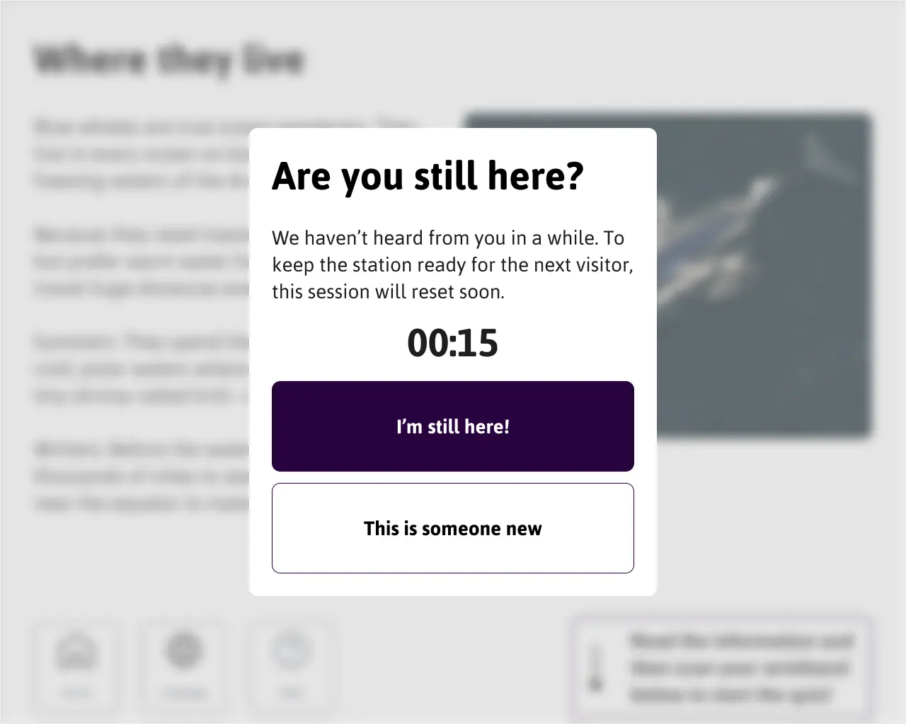 Inactivity timer screen