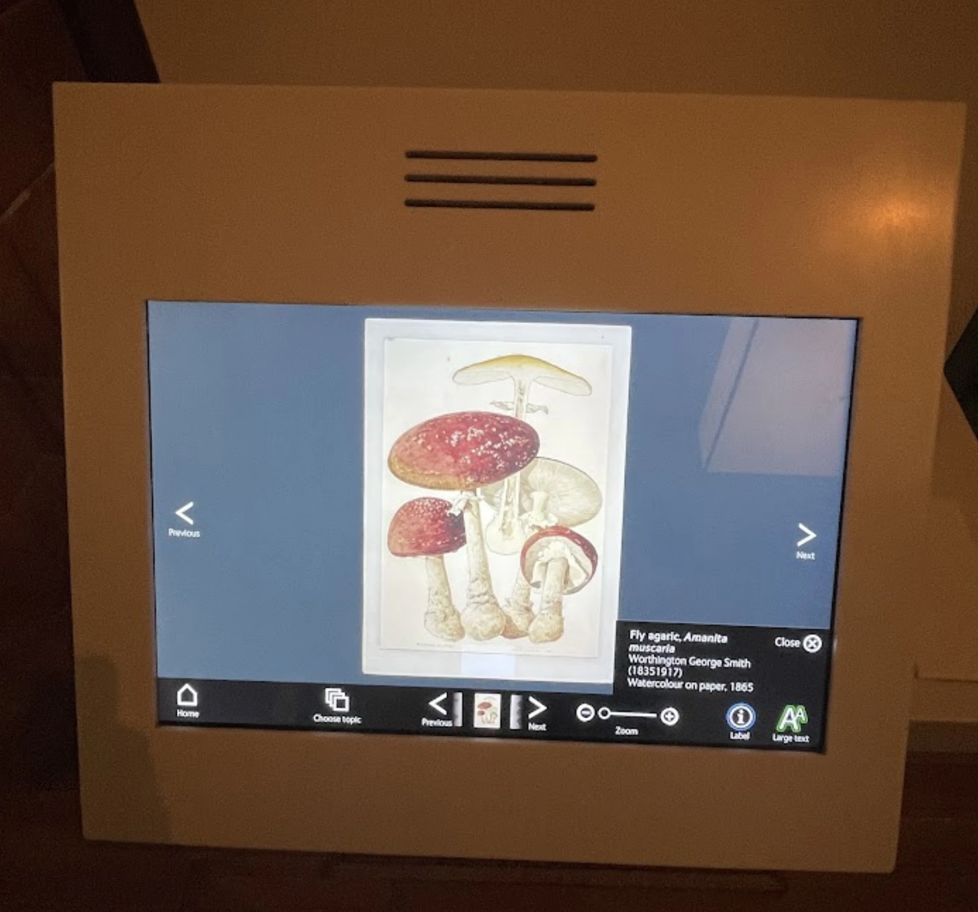Field research photography from a kiosk installation
